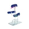 Acrylic Eye Wear Display Stand